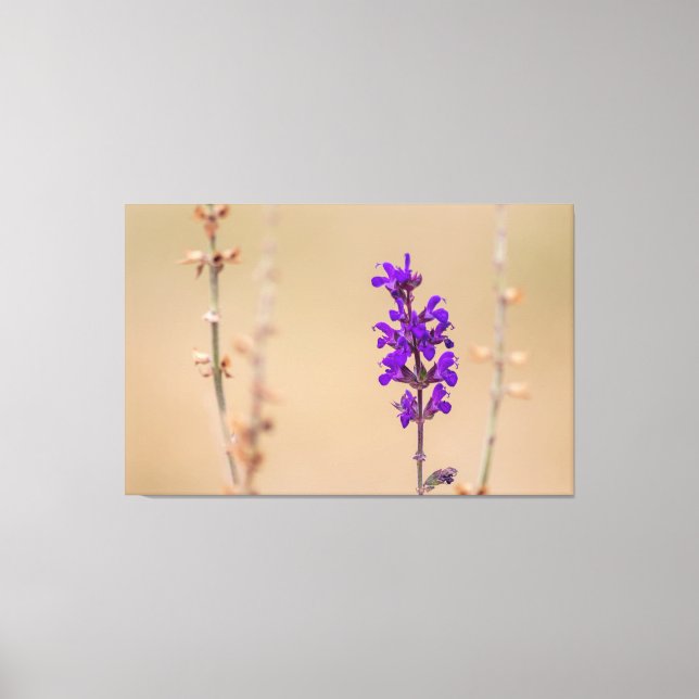 Impressão Em Tela Einfach zum Träumen und Wohlfühlen... (Frente)