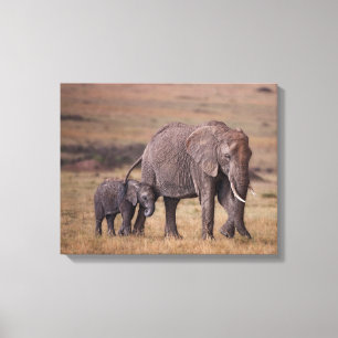 Impressão Em Tela Elefante africano com bebê