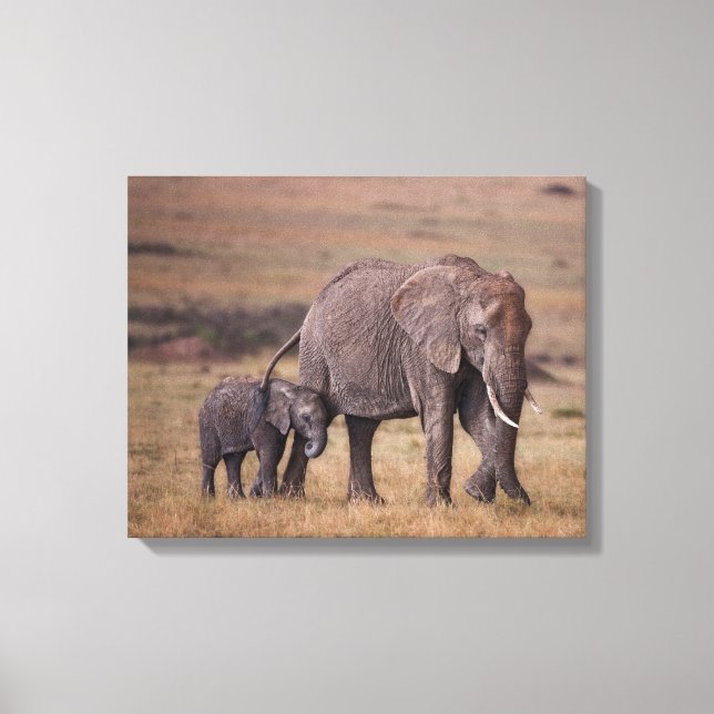Impressão Em Tela Elefante africano com bebê (Frente)