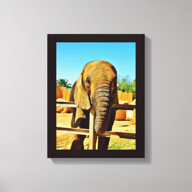 Impressão Em Tela Elefante Amigável (Frente)