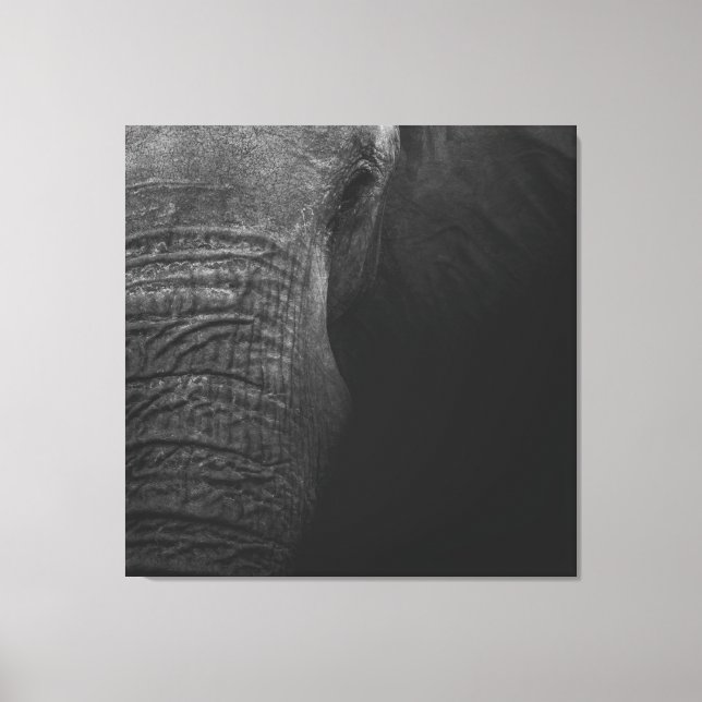 Impressão Em Tela Elefante B&W (Frente)