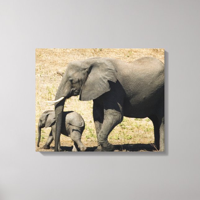 Impressão Em Tela Elefante De Bebê E Mãe (Frente)