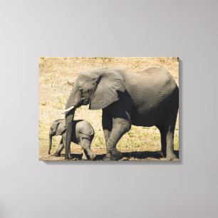 Impressão Em Tela Elefante e mãe do bebê