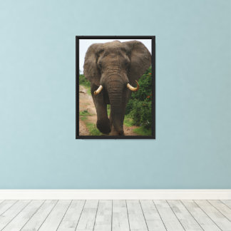Impressão Em Tela Elefante Majestoso no Safari Path Poderosa Vida Se
