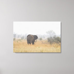 Impressão Em Tela Elefante na névoa do amanhecer, nacional de Kruge