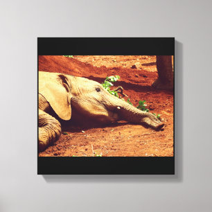 Impressão Em Tela Elefante Niarobi