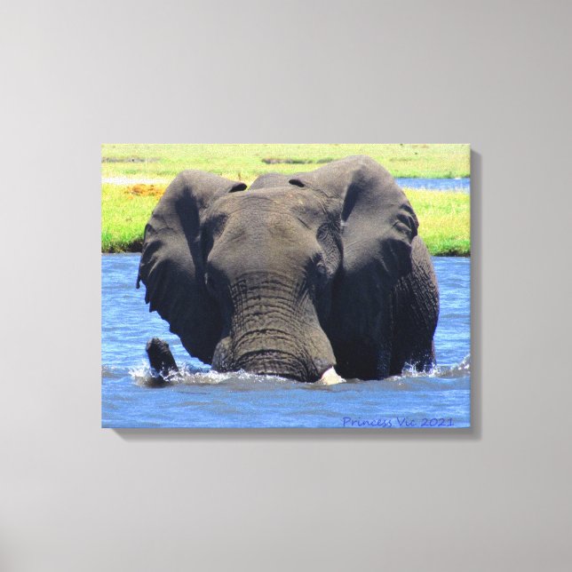 Impressão Em Tela Elefantes de Chobe (Frente)