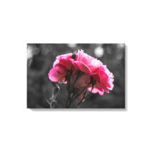 Impressão em Tela - Elegância Rosa Pink