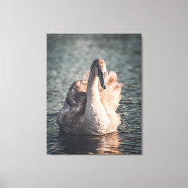 Impressão Em Tela Elegância sobre o Wye