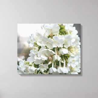 Impressão Em Tela Elegante Arte de Parede em Tela com Flores de Hort