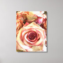 Elegantes Rosas Brancas com Bordas Rosadas Foto em