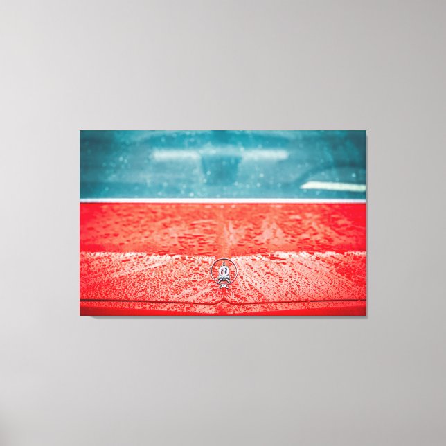 Impressão Em Tela Emblema De Chuva (Frente)