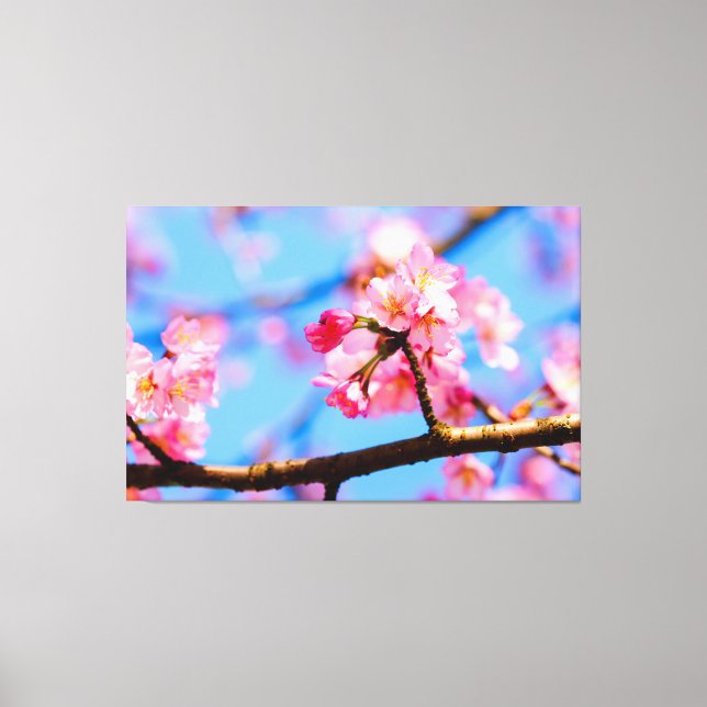 Impressão Em Tela Encantadora Beleza das Flores de Sakura na Primave (Frente)