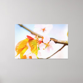 Impressão Em Tela Encantadoras Flores e Folhas de Sakura na Primaver