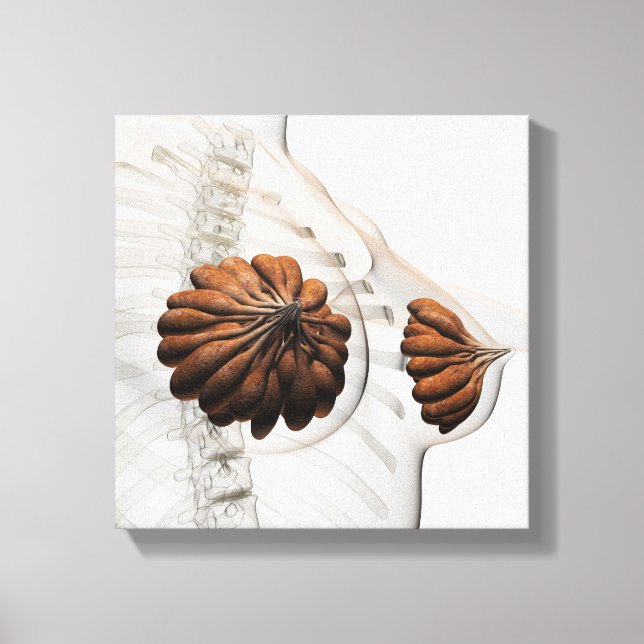 Impressão Em Tela Encerramento Das Glândulas Mamárias Femininas (Frente)