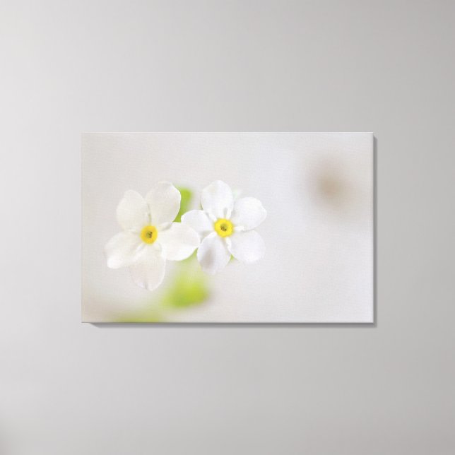 Impressão Em Tela Encerramento de flores 2 (Frente)