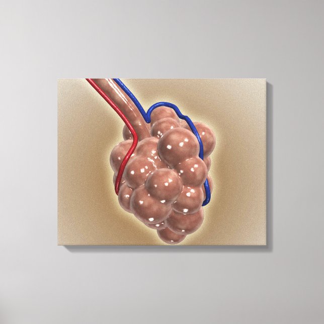 Impressão Em Tela Encerramento Do Alveolus (Frente)