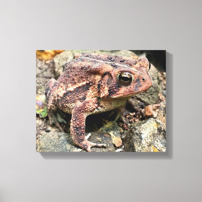 Impressão Em Tela Encerramento do Toad Sul Bonito (Frente)