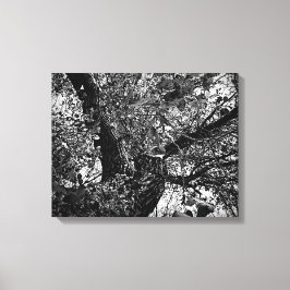 Impressão Em Tela Encontre-me nas árvores