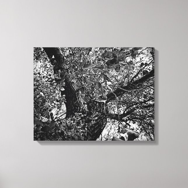 Impressão Em Tela Encontre-me nas árvores (Frente)