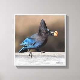 Impressão Em Tela Encontrou Um Amendoim