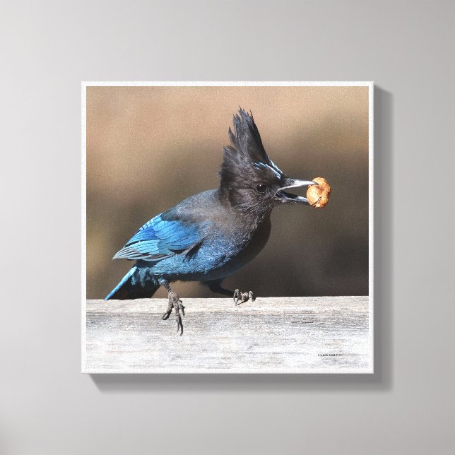 Impressão Em Tela Encontrou Um Amendoim (Frente)