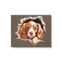 Engraçado Engraçado