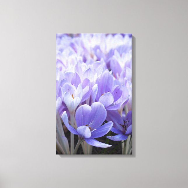 Impressão em Tela Envolta de Crocus (Frente)