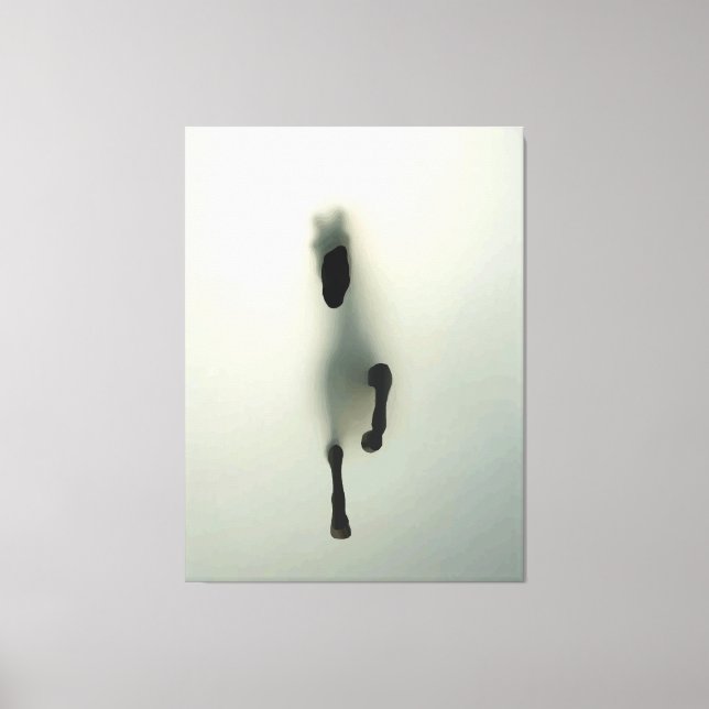 Impressão Em Tela Equina A Partir Do Nevoeiro (Frente)