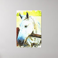 *~* Equino Cavalo Branco sobre a cerca de madeira 