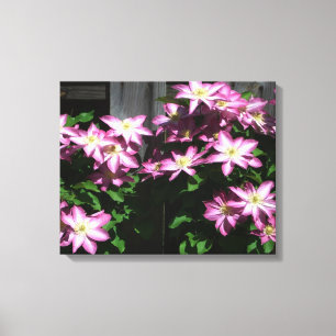 Impressão Em Tela Escalando Flores De Mola Roxo Clematis