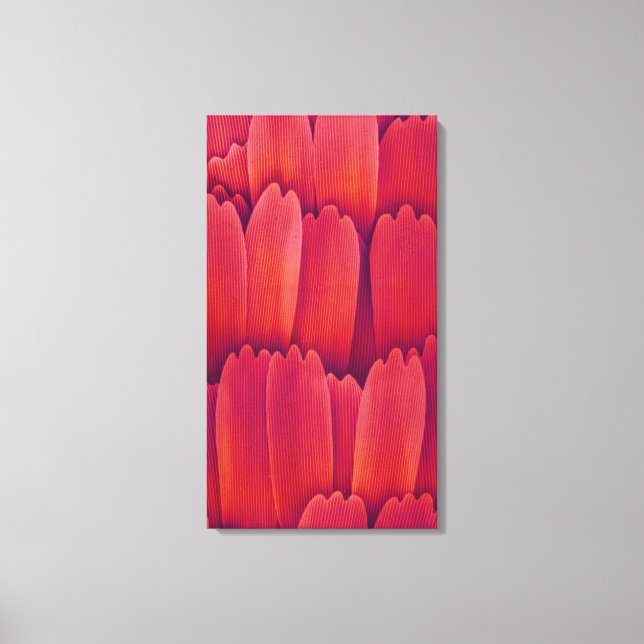 Impressão Em Tela Escalas de Asas da Borboleta (Frente)