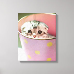 Impressão Em Tela Esconder do gatinho