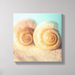 Impressão Em Tela Escudos do nautilus na praia