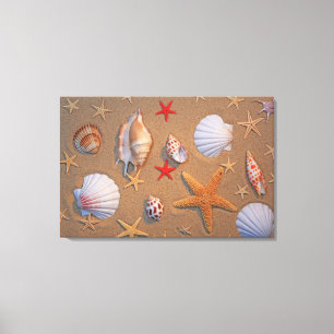Impressão Em Tela Escudos e estrela do mar do mar arranjados na