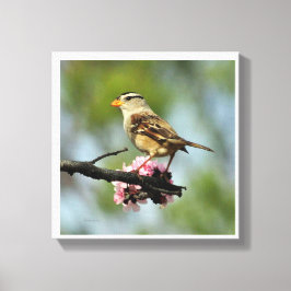 Impressão Em Tela Esparrão branco com prego