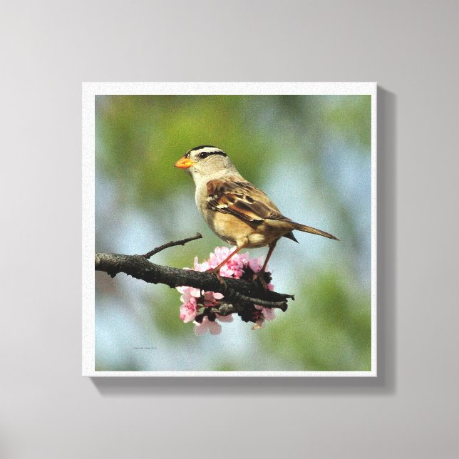 Impressão Em Tela Esparrão branco com prego (Frente)