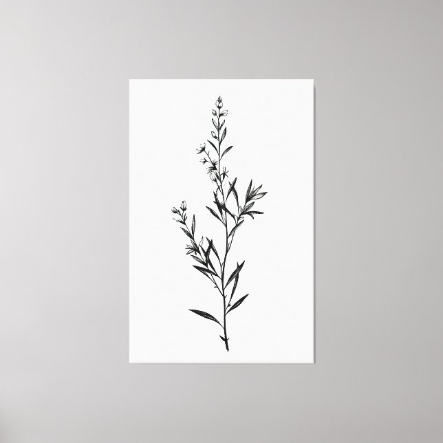 Impressão Em Tela Esquema Monocromático de Sprig Rosemary Minimalist (Frente)