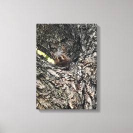 Impressão Em Tela Esquilo