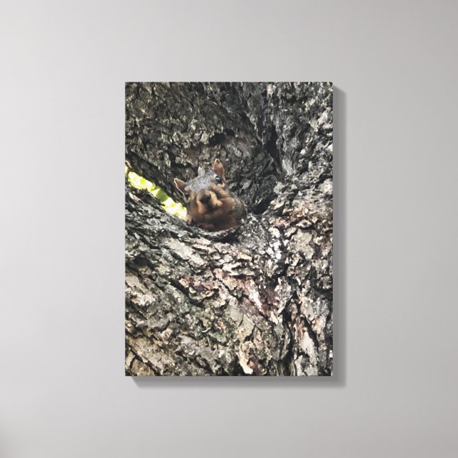 Impressão Em Tela Esquilo (Frente)