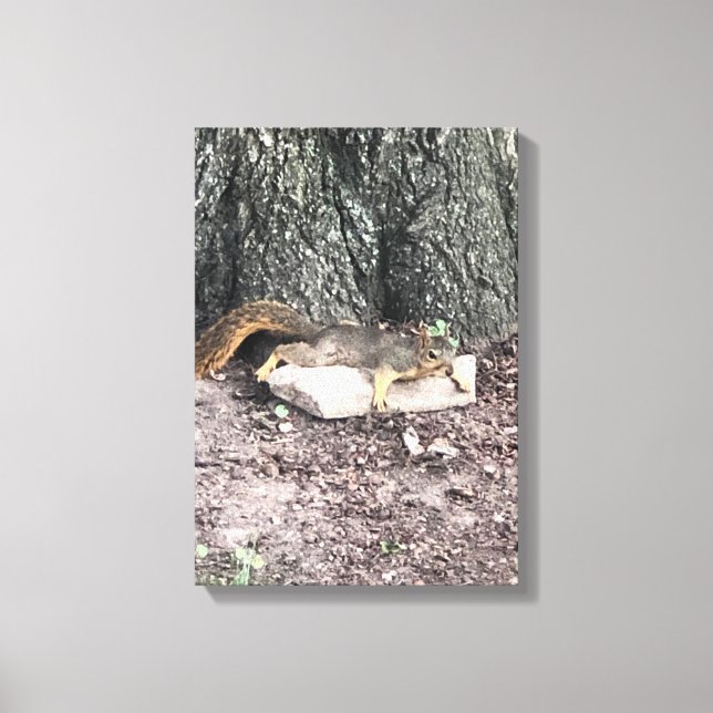 Impressão Em Tela Esquilo (Frente)