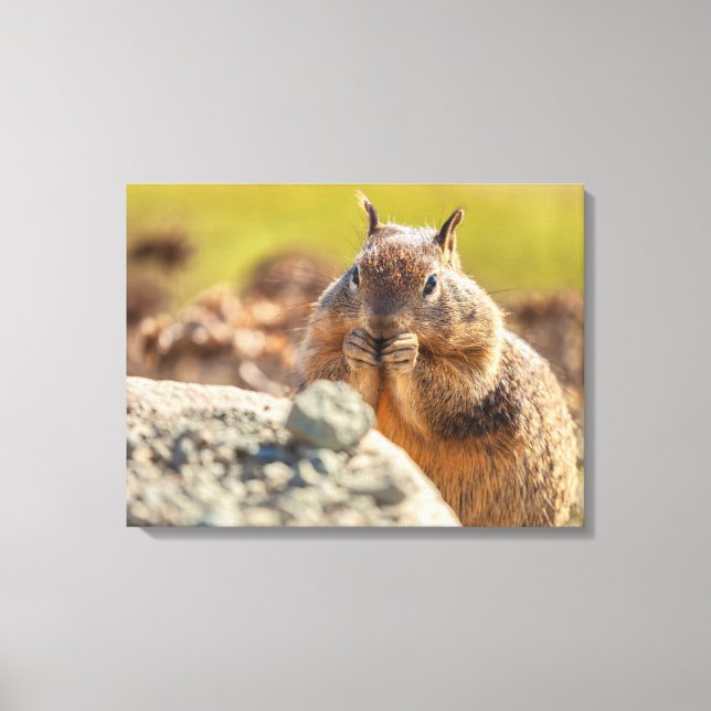 Impressão Em Tela Esquilo de terra (Frente)