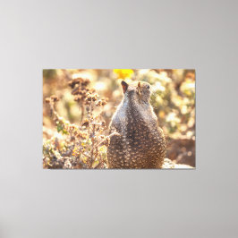 Impressão Em Tela Esquilo de terra