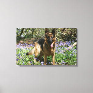 Impressão Em Tela Estabelecimento do german shepherd