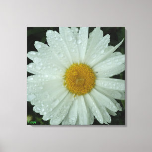 Impressão em Tela Esticada Daisy Dream