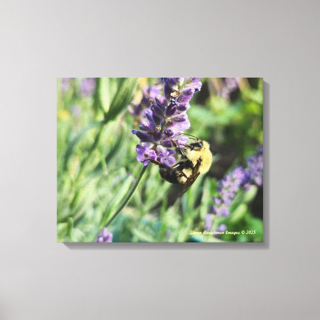 Impressão em Tela Esticada de Abelha e Lavanda (Frente)
