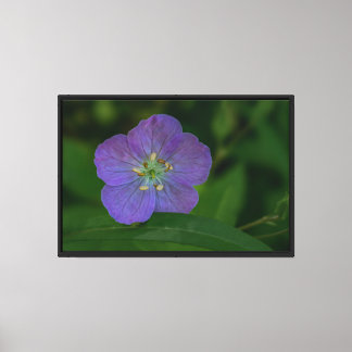 Impressão em tela esticada de flor silvestre roxa
