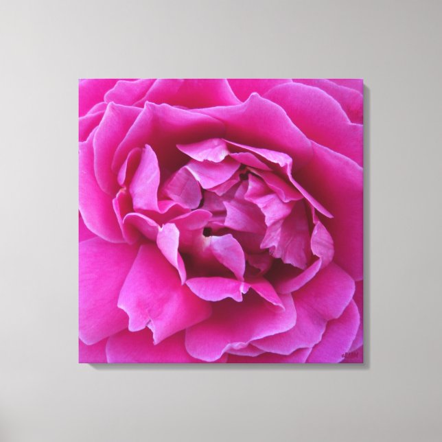 Impressão em Tela Esticada de Rosa Cobçada (Frente)