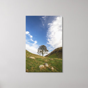 Impressão em Tela Esticada Sycamore Gap