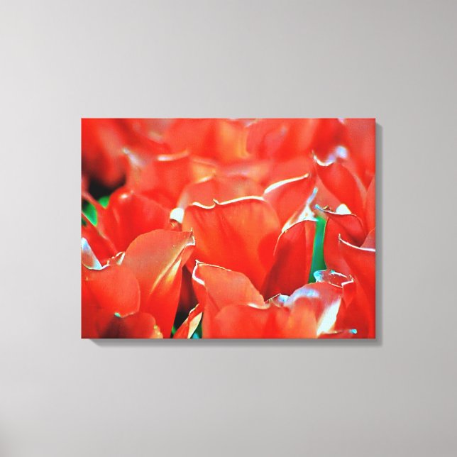 Impressão em tela esticada tulipas  (Frente)